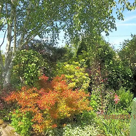 Bed & Breakfast La Haute Gilberdiere Sartilly-Baie-Bocage