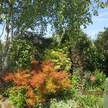 La Haute Gilberdiere